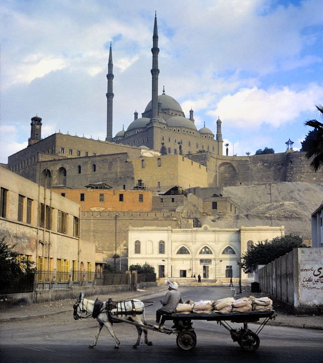 Donkey cart beneath Citadel mosque, Cairo, Egypt