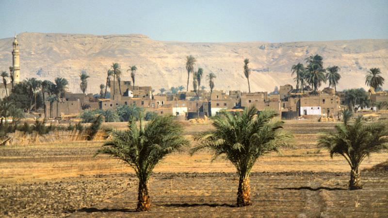 Nile Valley village, between Memphis and Luxor, Egypt