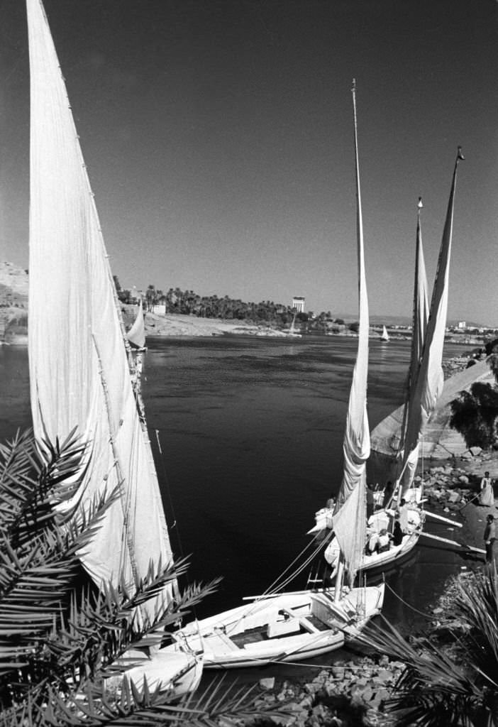 Small sailing boats, so-called feluccas, on the banks of the Nile near Aswan, Egypt, 1972