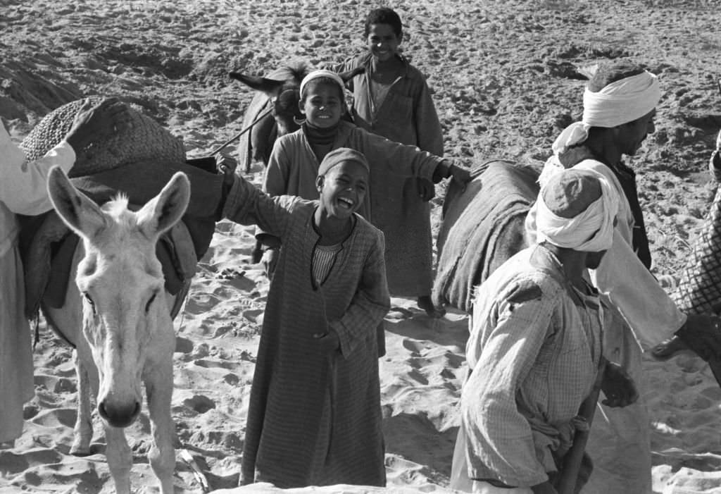 Peasant children working in the fields, photographed in a village near Cairo, 1972