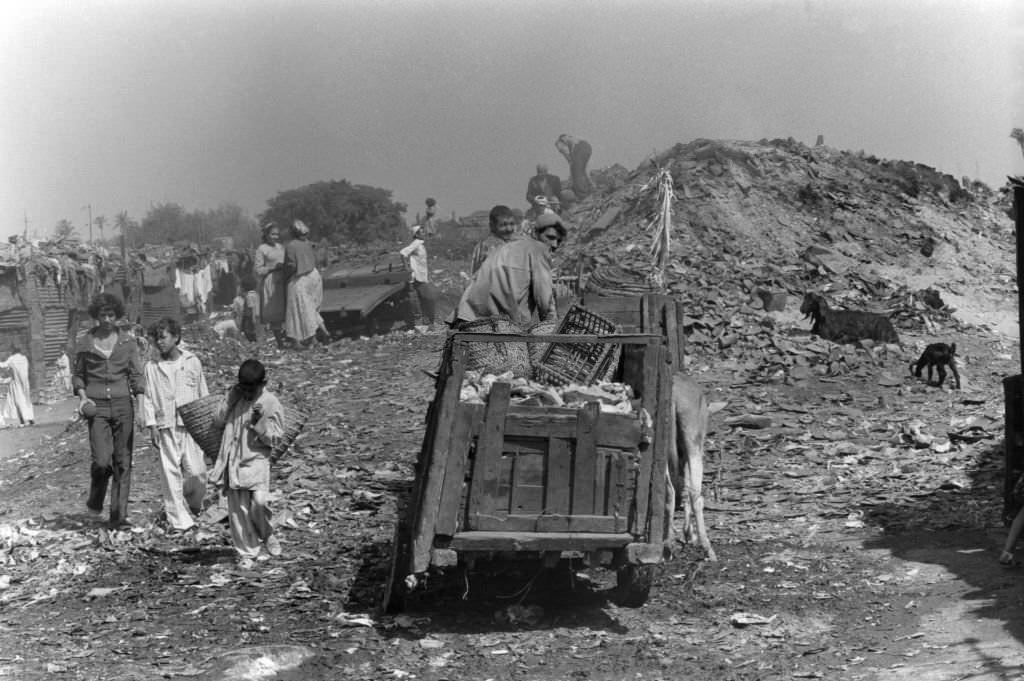 Cart of ragpickers in a Cairo dump, in May 1979.