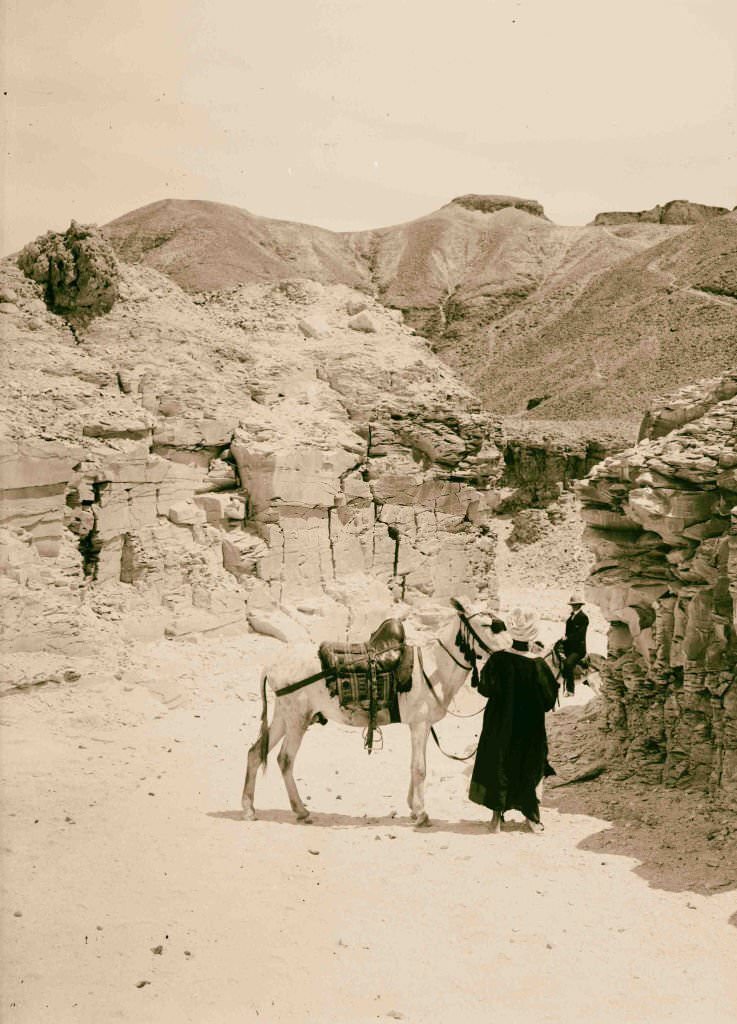 The Lybian desert, Thebes, Egypt, 1900.