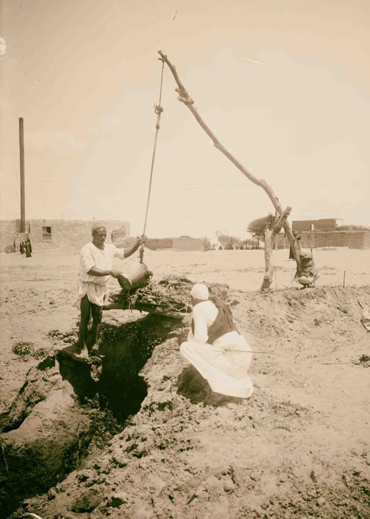 Primitive way of irrigating, Eygpt, 1900