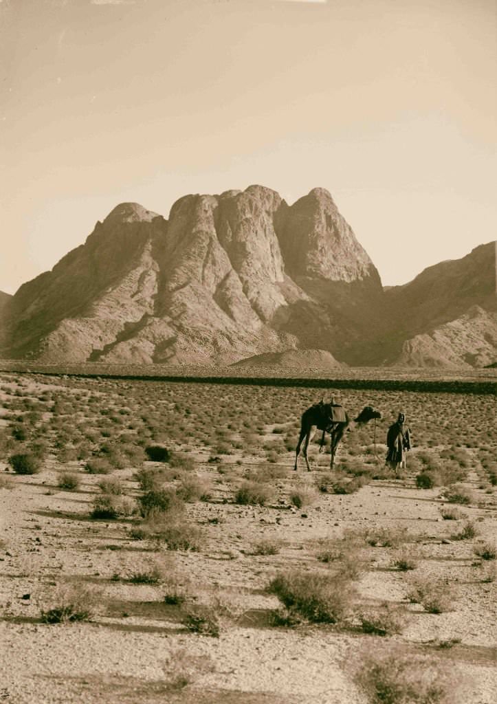 General view of Ras Safsaf, Sinai, Egypt, 1900.