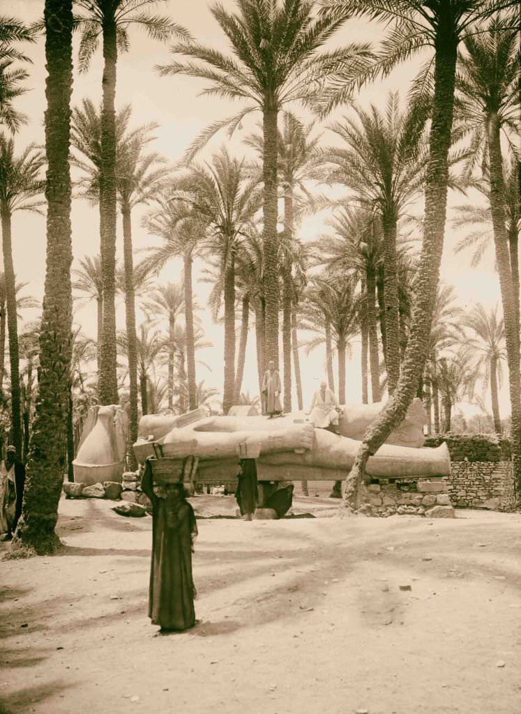 Colossal statue of Rameses [i.e., Ramses] II, Memphis, 1900.