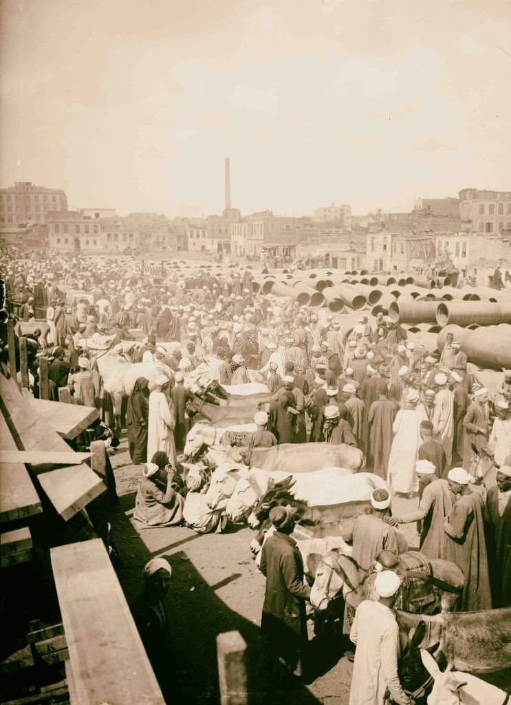 Donkey market in Cairo, 1900.
