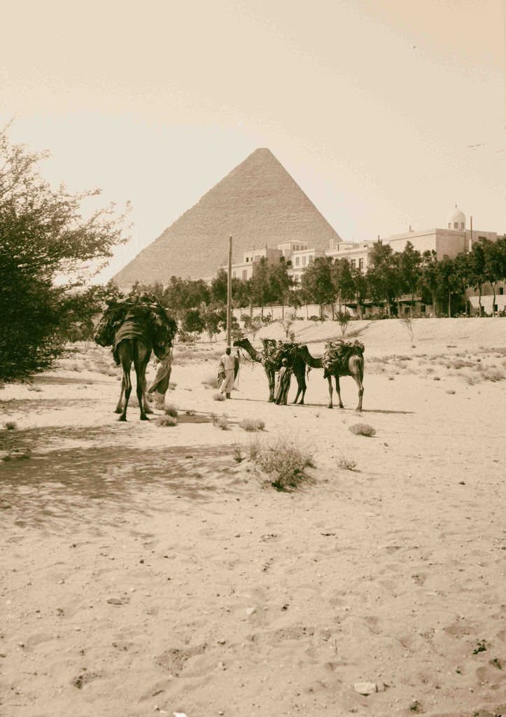 The pyramids of Gizeh. Mena House Hotel at pyramids, 1900.