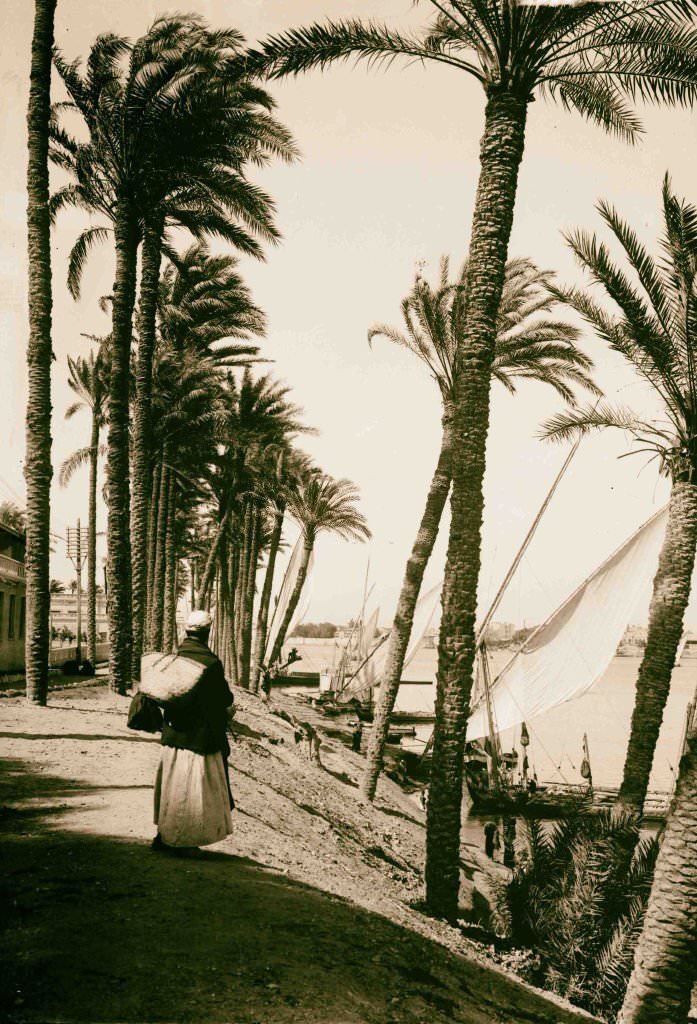 Looking down the Nile, Cairo, 1900.
