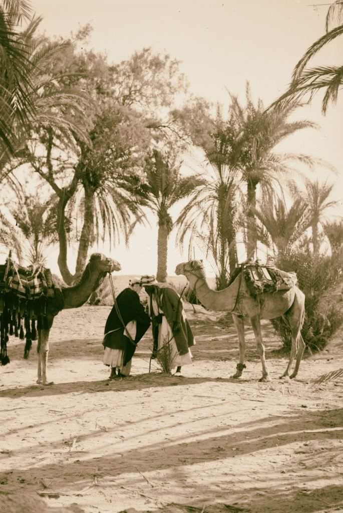 Sinai salutation among the men, Egypt, 1900.