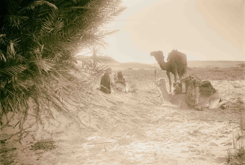 Scene in Wady Taiybeh in Sinai, Egypt, 1900.