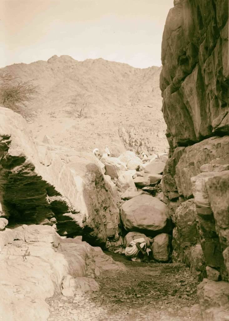 Spring of el-Wataieh, Sinai, Egypt, 1900