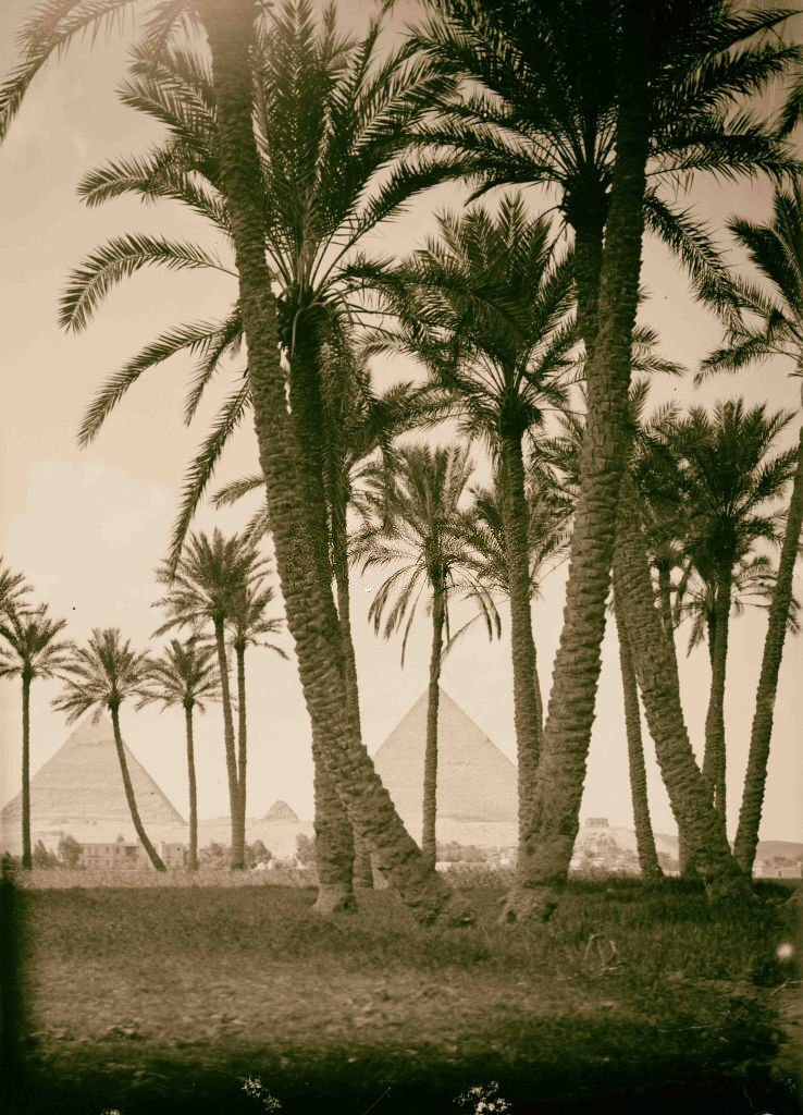 Sinai via the desert. The three pyramids of Gizeh, 1900.