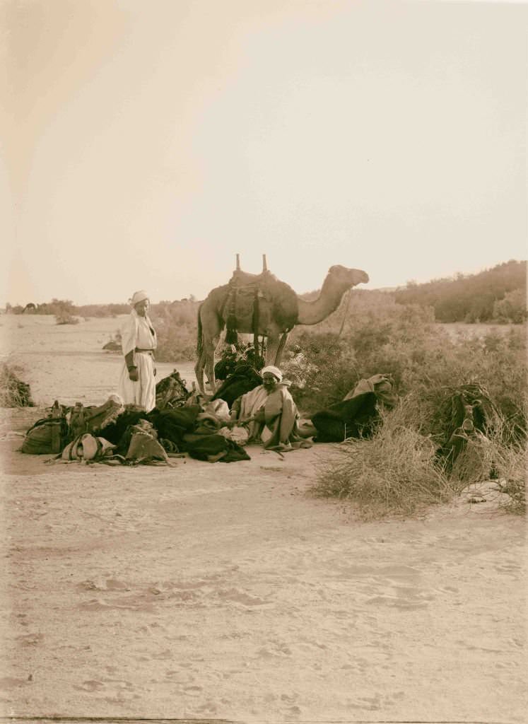 Sinai via the Red Sea, Tor, and Wady Hebran. Preparing for a night's camp in Wady el-A'awaj in Sinai, Egypt, 1900