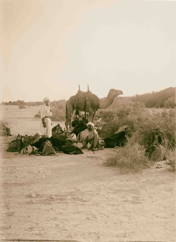 Sinai via the Red Sea, Tor, and Wady Hebran. Preparing for a night's camp in Wady el-A'awaj in Sinai, Egypt, 1900