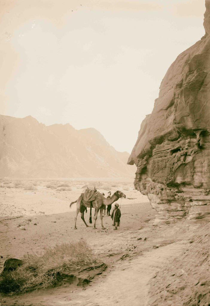 Wady Mokattab, Sinai, Egypt, 1900.