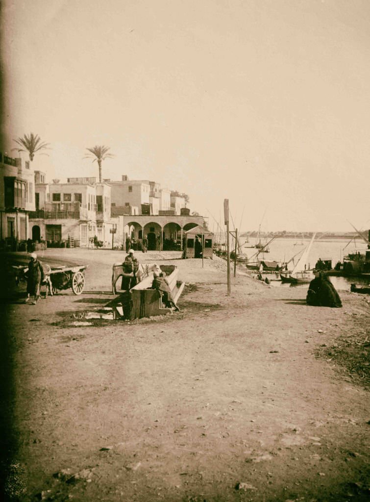 Scene in old Cairo, Egypt, 1900.
