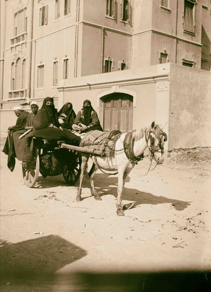 Donkey cart with native passengers, Egypt, 1900s.
