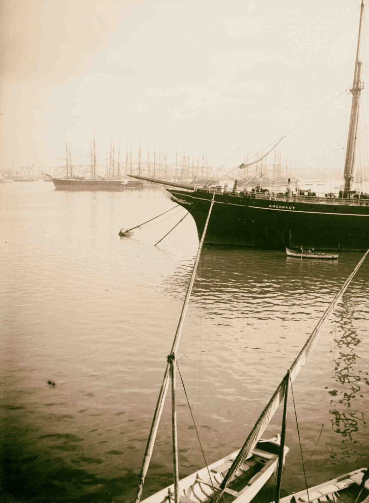 The harbor of Alexandria, 1900