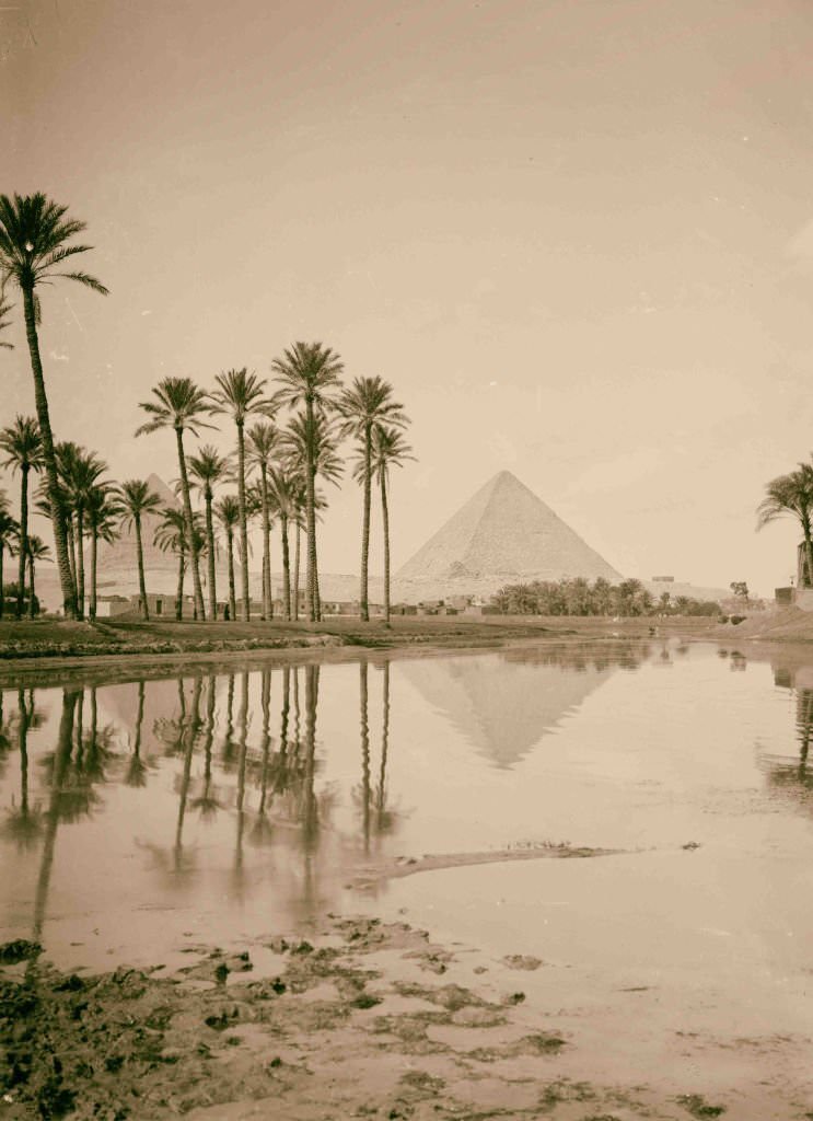 Pyramids with palm grove, Egypt, 1900.