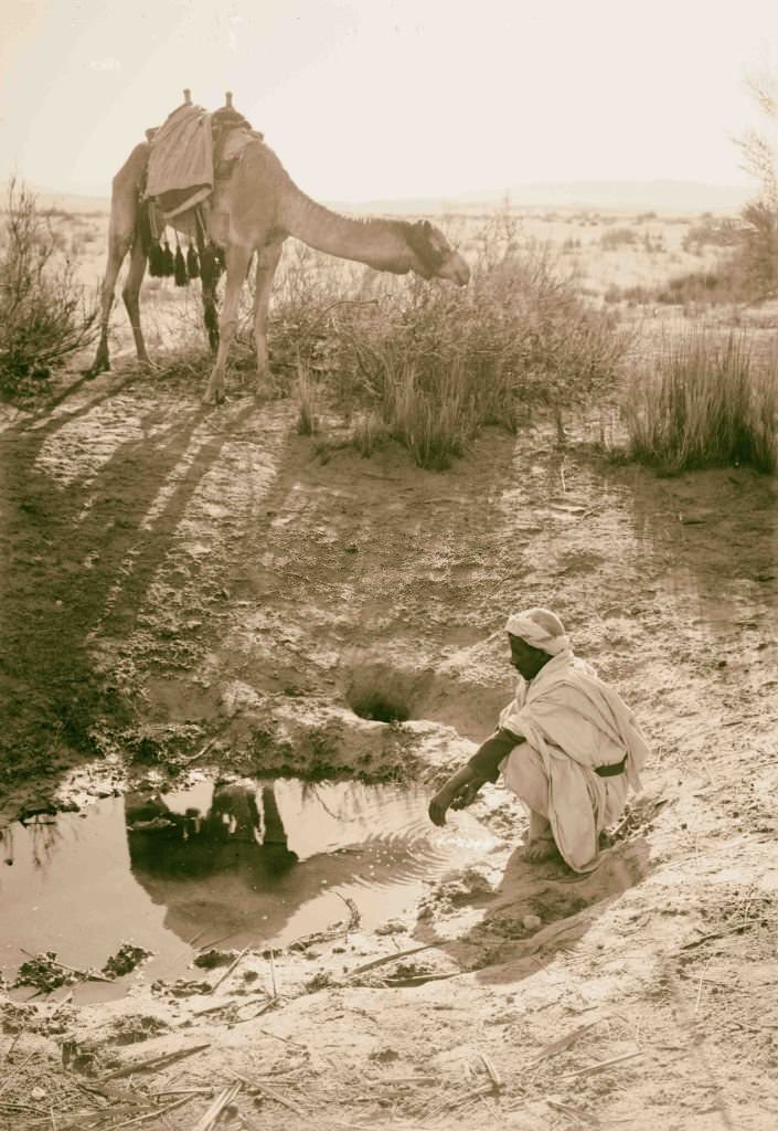 Bitter spring in Wady Taiybeh, Egypt, 1900.