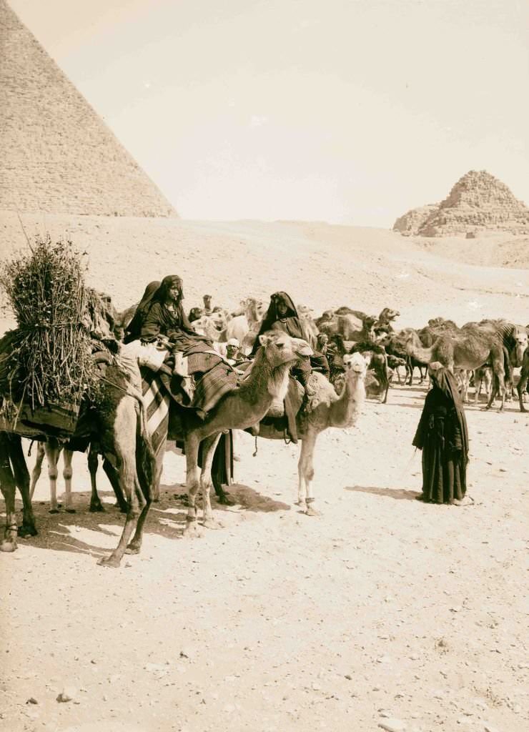 The pyramids of Gizeh. Caravan of Bedouins arriving at pyramid 1900, Egypt.