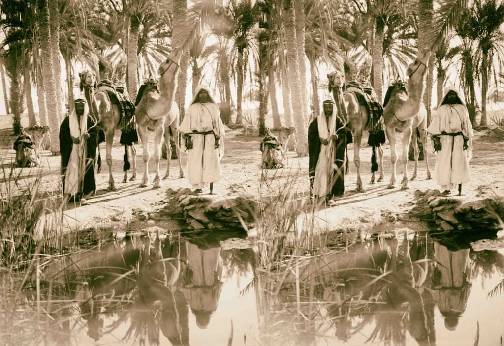 Scene at the Springs of Moses, Egypt, 1900