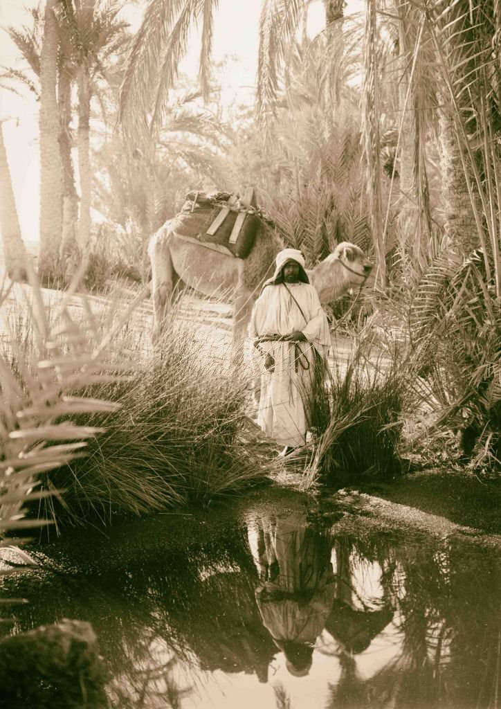 Near view of one of the Springs of Moses, Egypt, 1900.