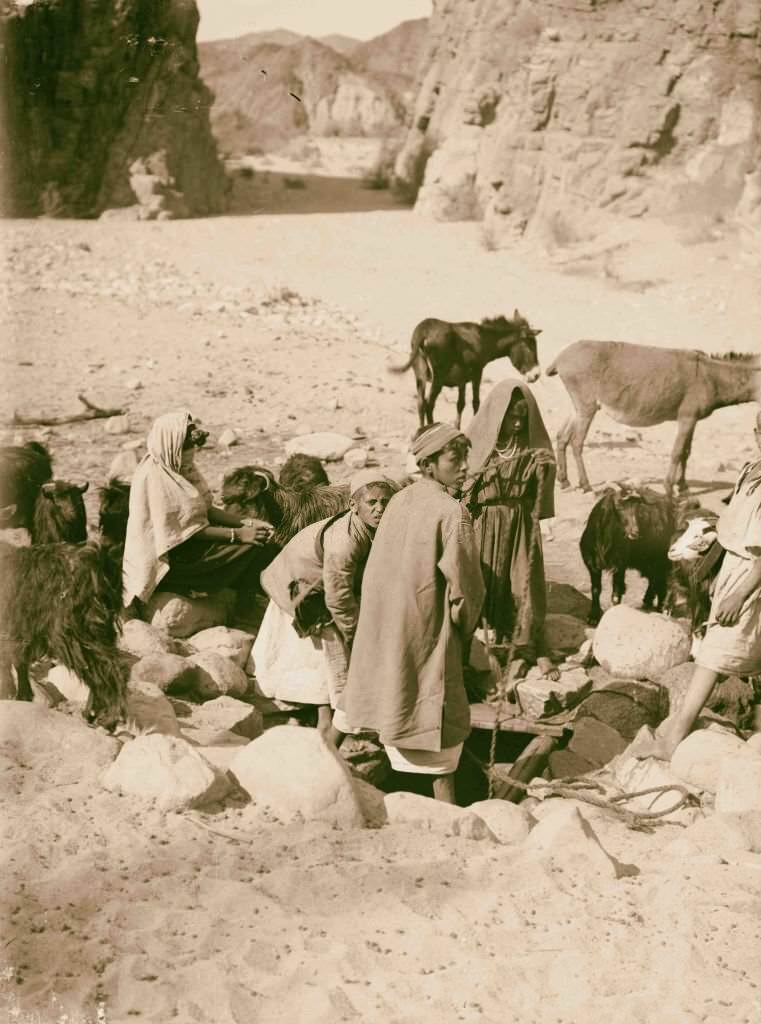 Well at el-Buweib, Egypt, 1900.