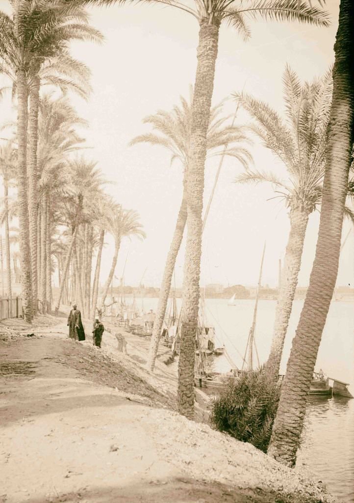 View looking down the Nile, Cairo, 1900