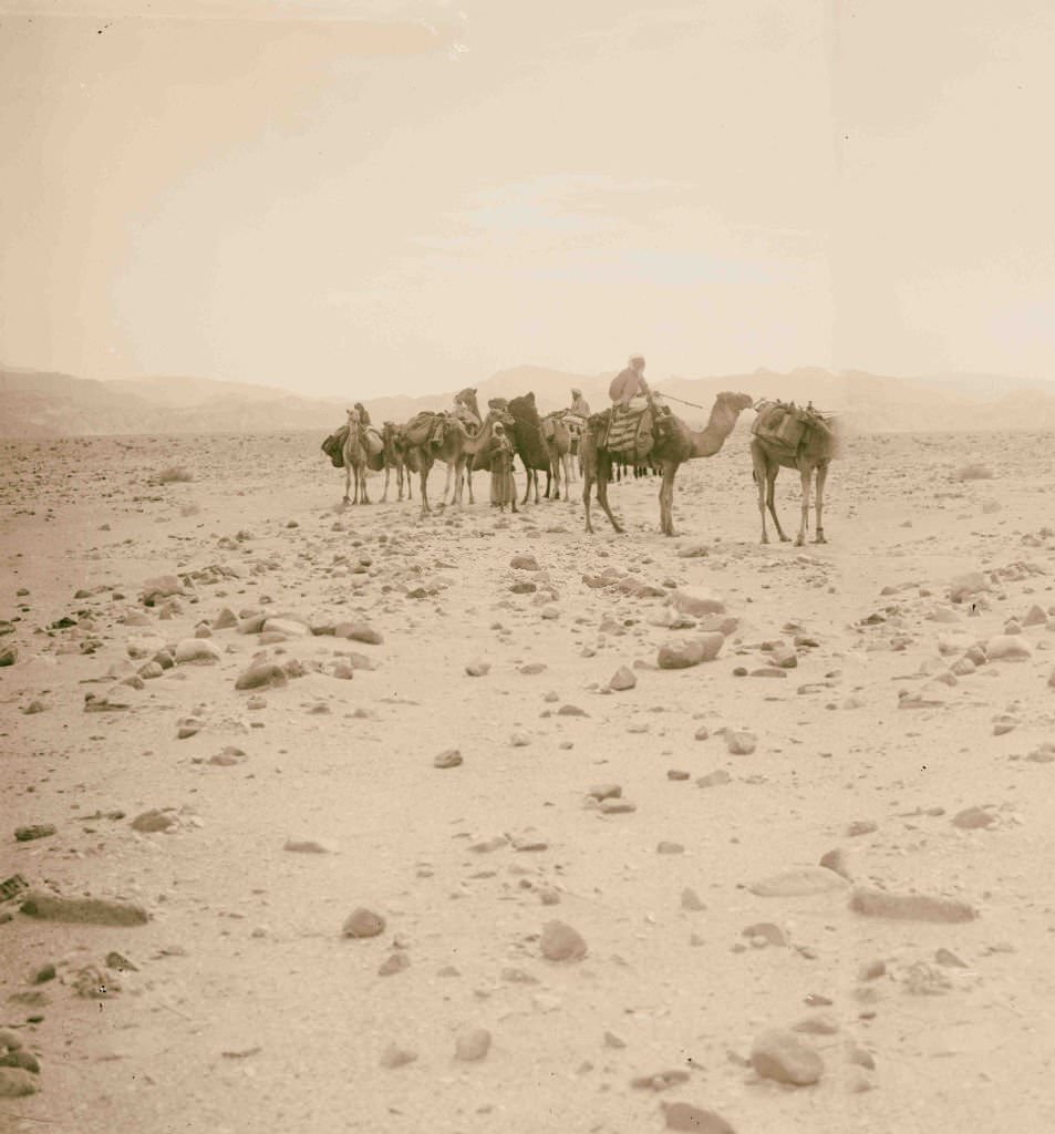 The wilderness of Sinai, Egypt, 1900.