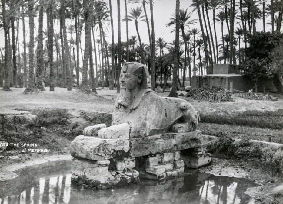 The Sphinx of Memphis is a stone sphinx located near the remains of Memphis, Egypt, 1900