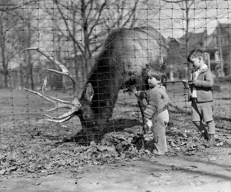 Animals - By gosh, shoot to kill, Franklin Park