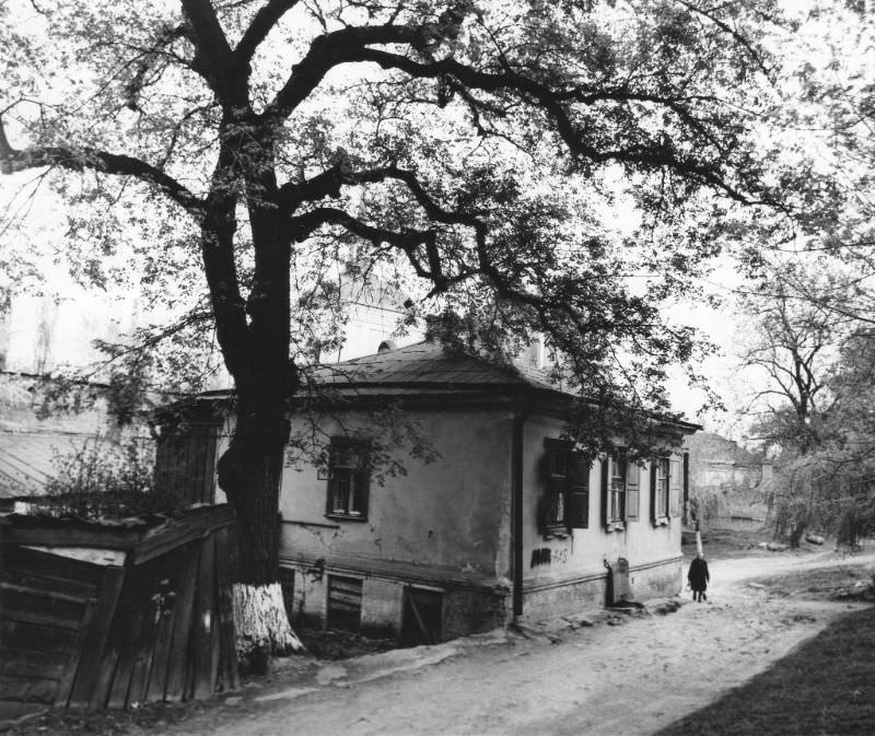 Quiet street in Kyiv, 1978