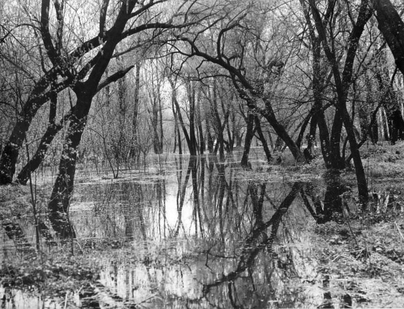 Spring, Kyiv, 1978