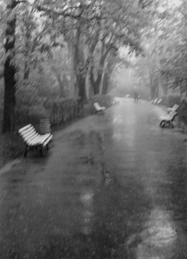 Raining, Shevchenko park, Kyiv, 1971
