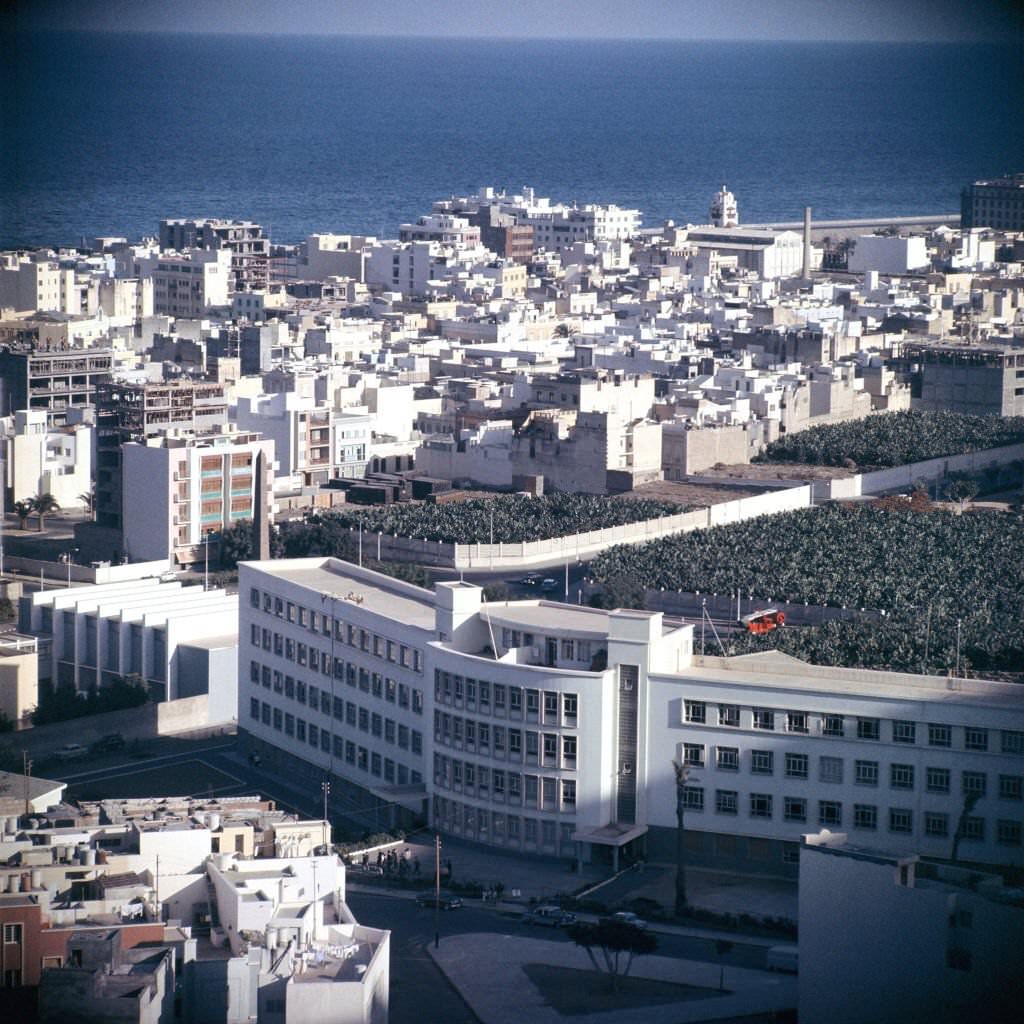 A market in Las Palmas, 1964