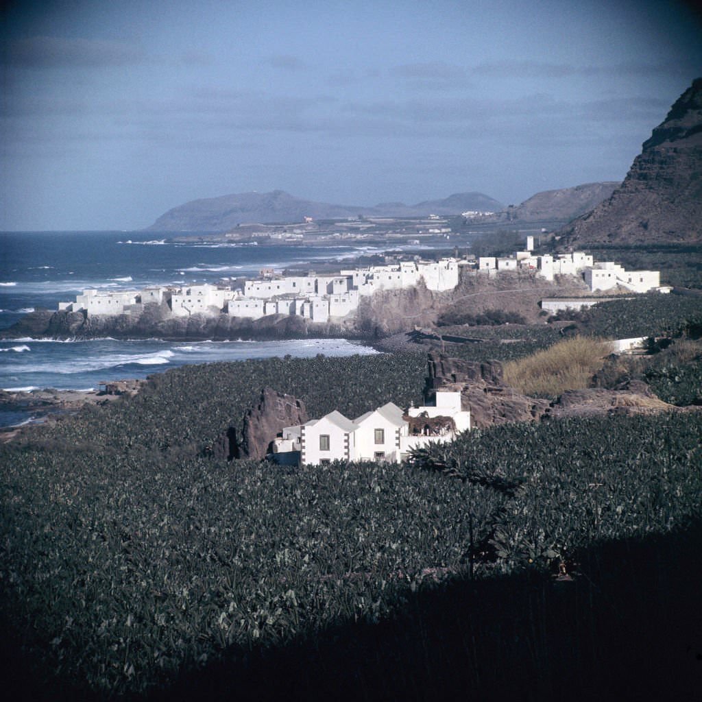 Las Palmas, 1964