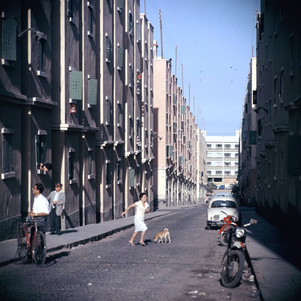 Las Palmas, 1964