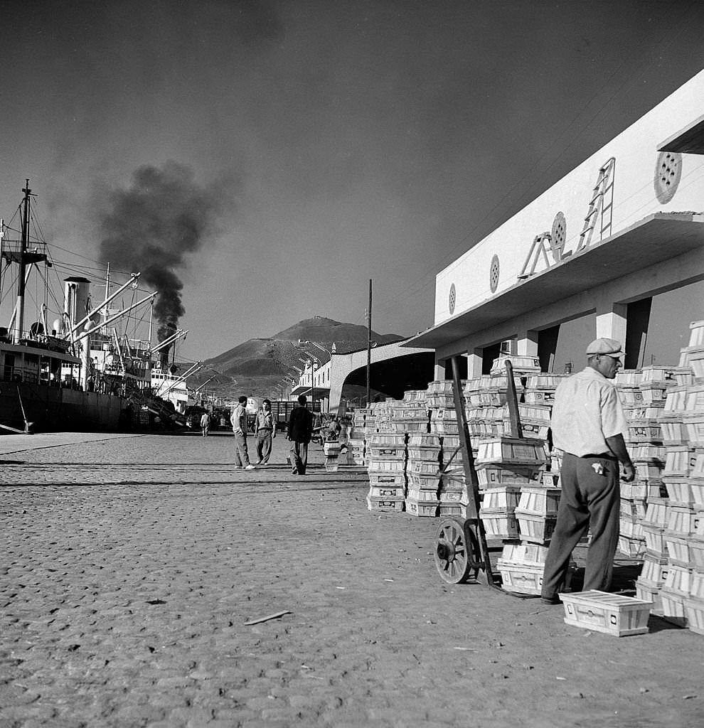 Loading of tomatoes in the harbour of Las Palmas, 1950s