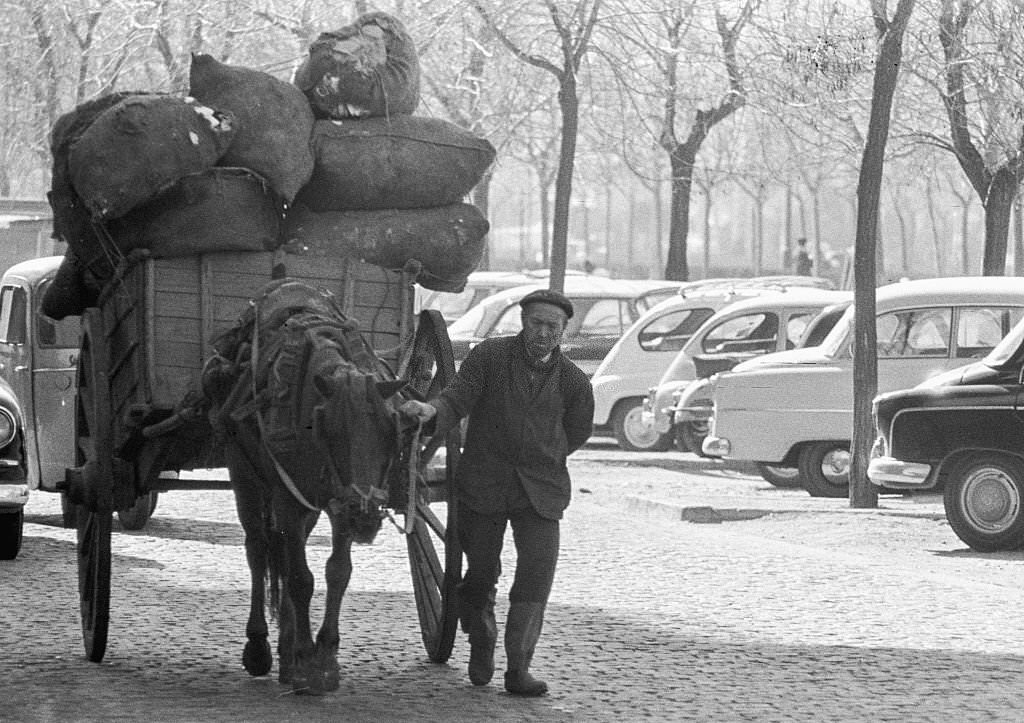 The "Paseo De La Castellana" of Madrid in 1965.