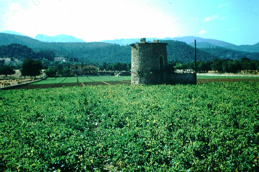 Stunning Color Photos of Mallorca, Spain in the 1950s