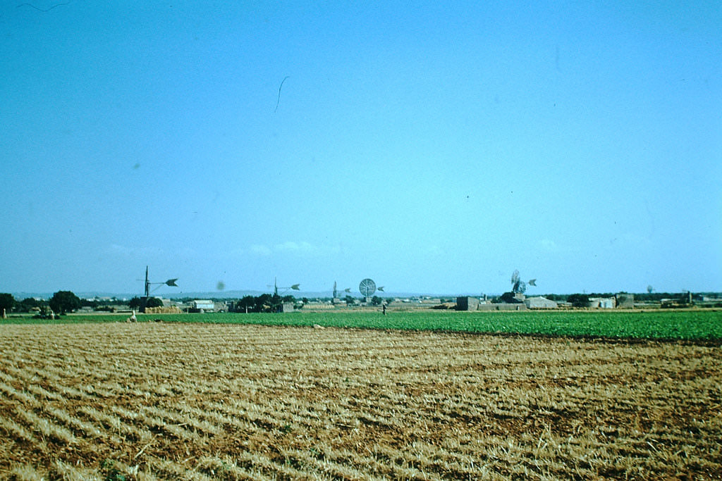 Stunning Color Photos of Mallorca, Spain in the 1950s