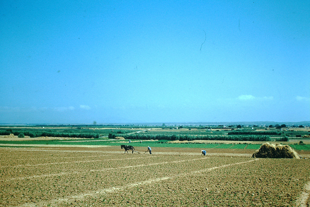 Stunning Color Photos of Mallorca, Spain in the 1950s