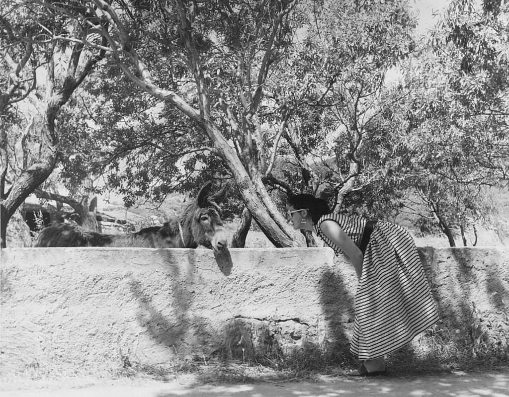 Doreen Lord, a former dancer at the Windmill Theatre, with her pet donkey in the garden of her villa in Majorca, 1958