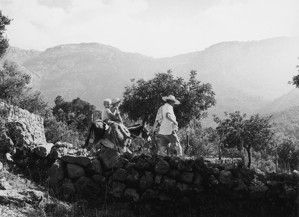 English novelist, poet and scholar Robert Graves leads his children on a donkey through an olive grove in Majorca, 9th January 1954.
