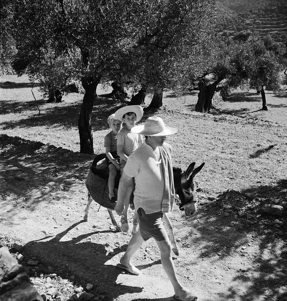 Robert Graves leads his sons William and Juan on a donkey through an olive grove to the beach at Deya, Majorca, January 1954.
