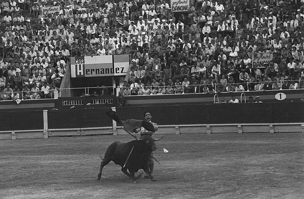 Corrida In Palma De Mallorca, Spain. The bullfighter facing the bull with his muleta and his sword.