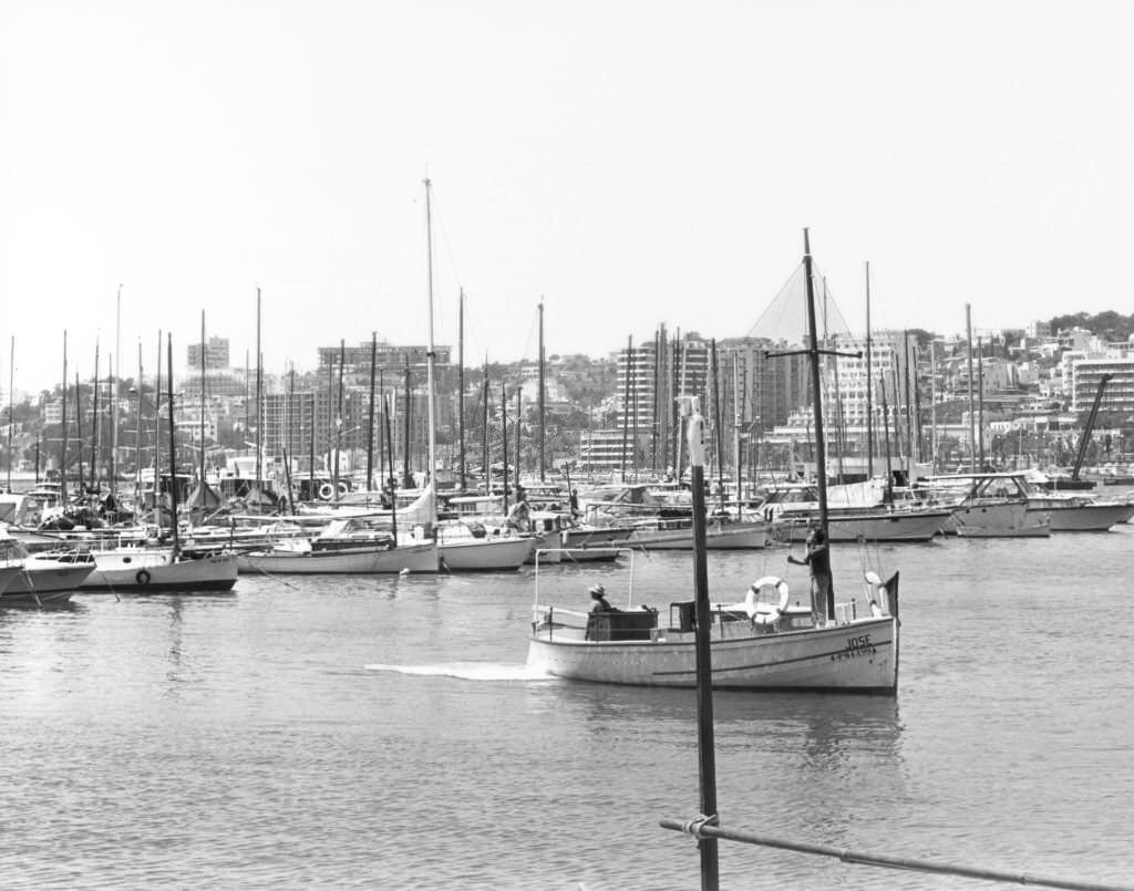 The marina of Palma de Mallorca, 1972