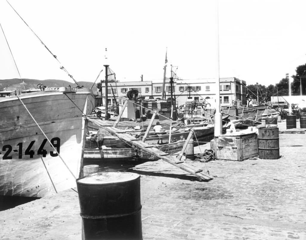 The fishing port of Palma de Mallorca, 1972