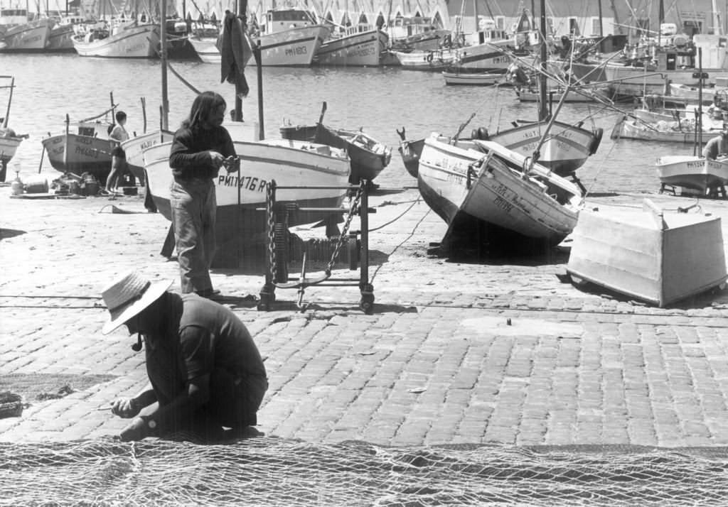 The fishing port of Palma de Mallorca, 1972